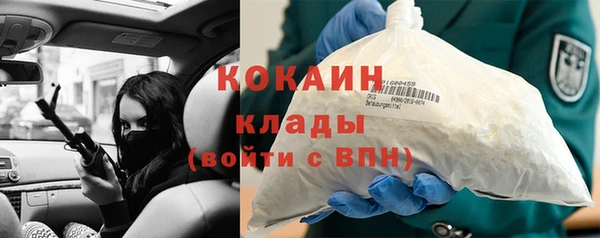 шишки Кукмор