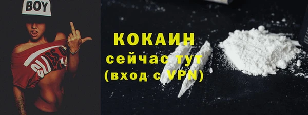 шишки Кукмор