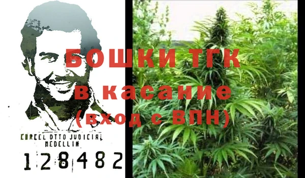 шишки Кукмор