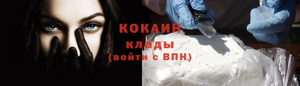шишки Кукмор