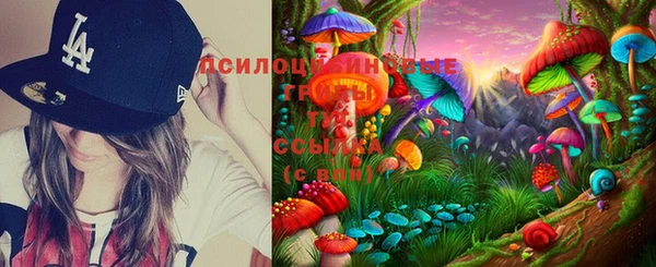 прущая мука Ладушкин