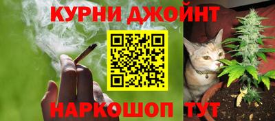 стафф Обь