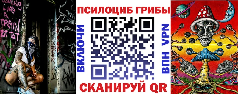 дарнет шоп  Черняховск  Псилоцибиновые грибы мухоморы 