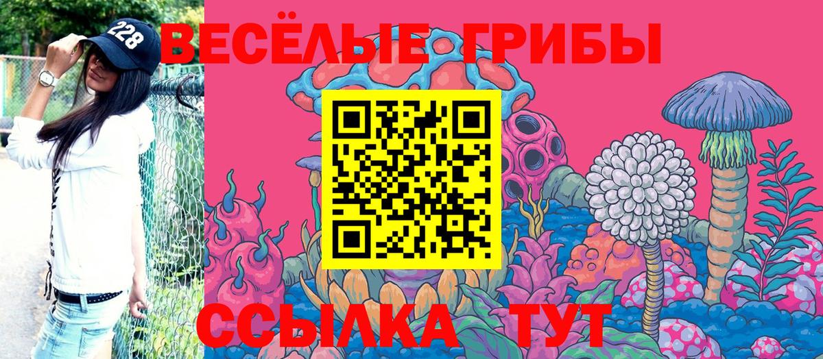 Псилоцибиновые грибы Psilocybine cubensis Черняховск
