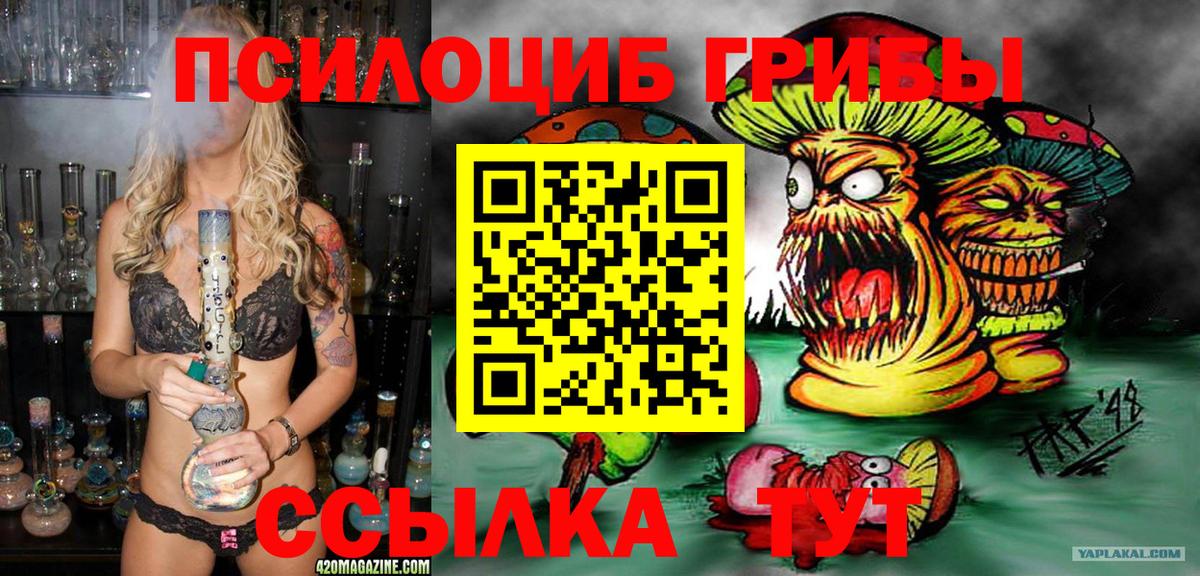 Черняховск  наркошоп  Галлюциногенные грибы GOLDEN TEACHER  Вход с VPN  Псилоцибиновые грибы Psilocybine cubensis 